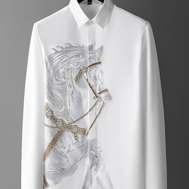 Jurk Witte overhemden voor her - Dress Shirt Non-Iron recensie en prijs