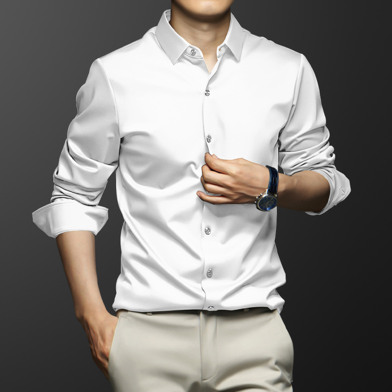Hoge kwaliteit heren shirt met - Dress Shirt Non-Iron recensie en prijs